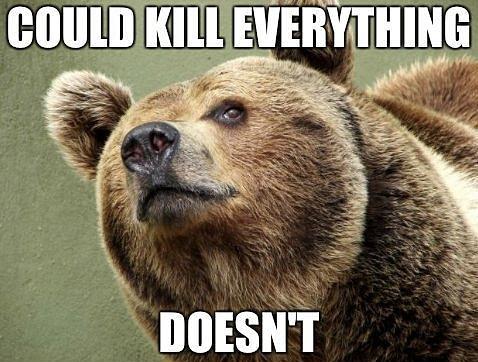 post-image-10241c67bbf6a6a29e8f