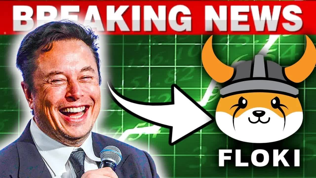 Elon Musk Just Sent Floki Soaring!