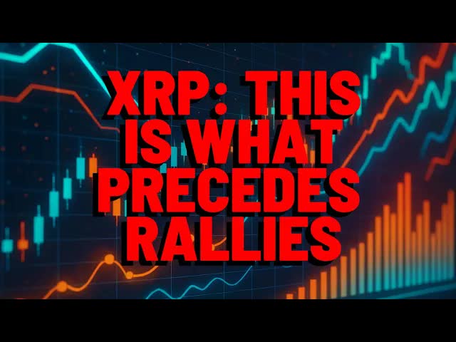 XRP: This Is What PRECEDES RALLIES