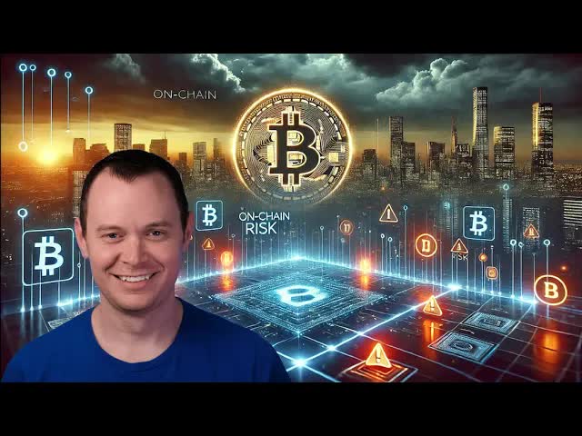 Bitcoin On-Chain Risk