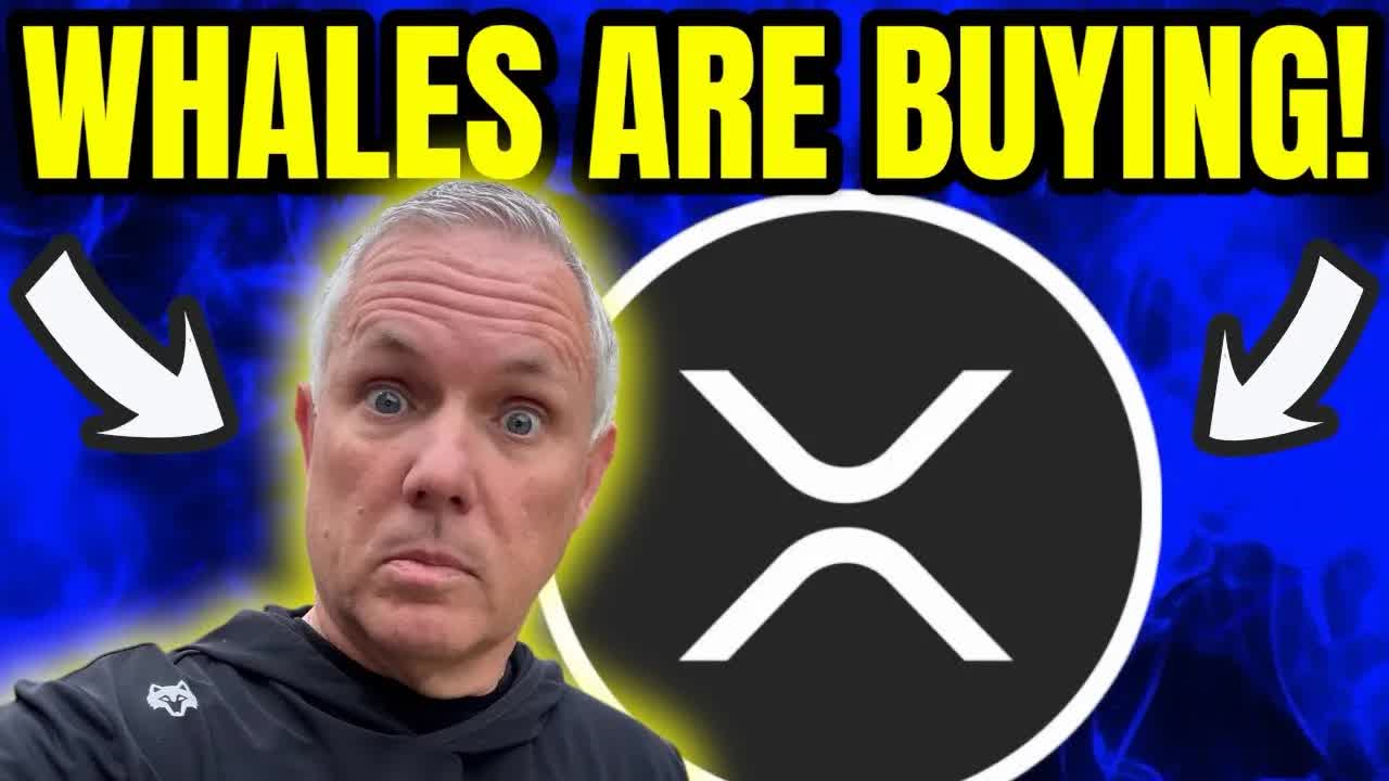 XRP ALERT! XRP WHALES ARE BUYING! WHAT DO THEY KNOW?!