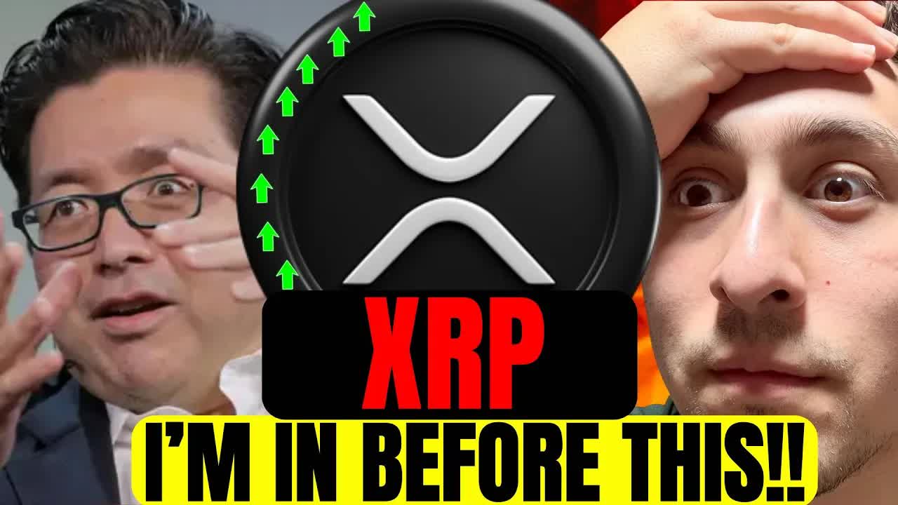 XRP PERMABULL TOM LEE NEWS! XRP PREDICTION
