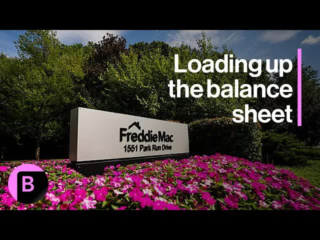 Fannie, Freddie Expand Portfolios Ahead of Possible Public Offering