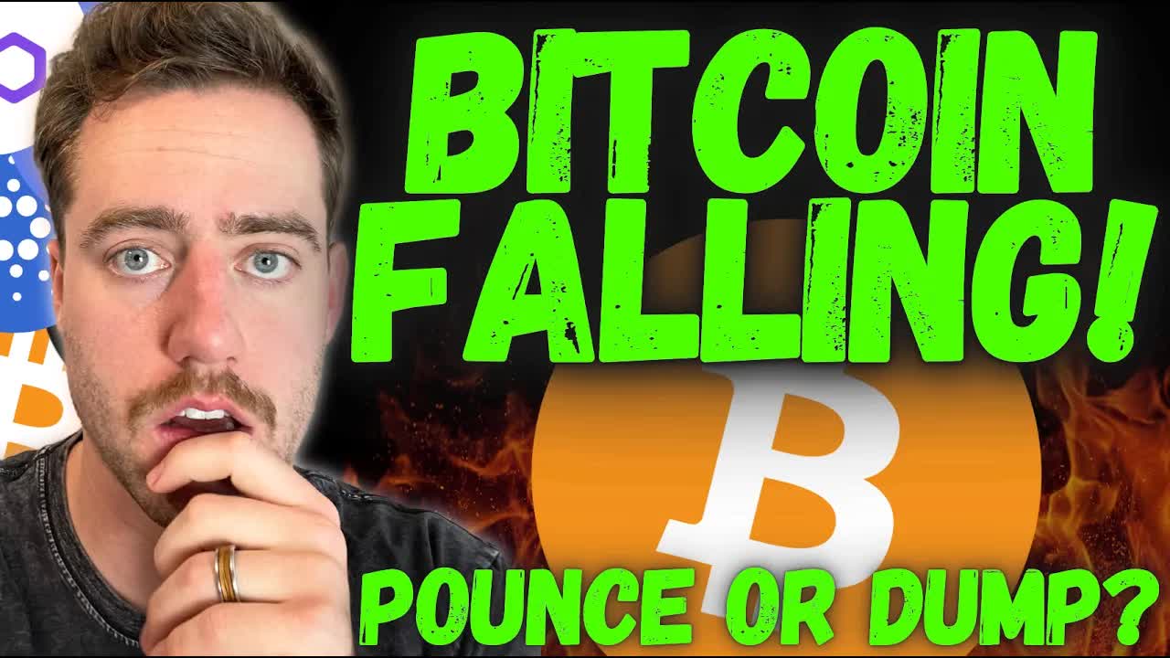 SCAMMMM - Article cover image