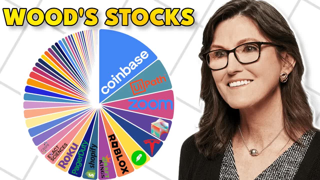 Cathie Wood's Stock Portfolio Deep Dive in 2024 | ARK Innovation ETF
