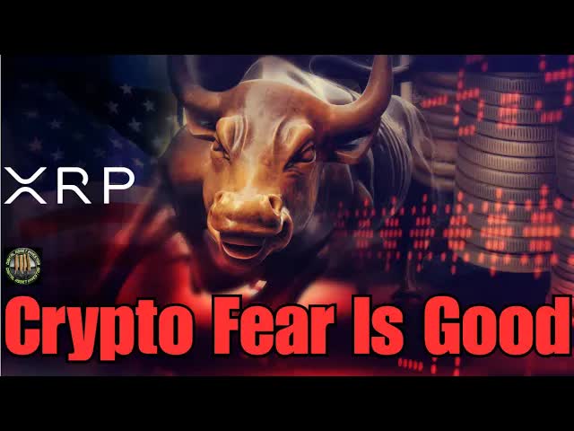Ripple IPO Potential , XRP Investment Lessons & Fear Is Good - Article cover image