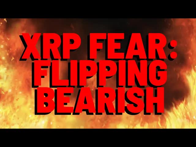XRP FEAR: You Won't Like To Hear This But...
