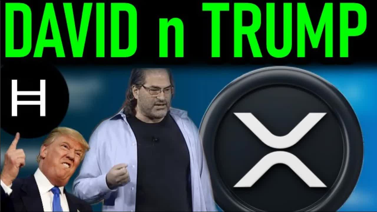 XRP HBAR MEGA PLANS SCHWARTZ PRICE