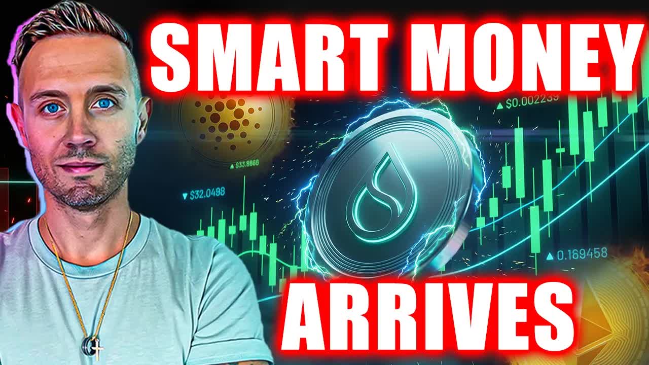 Banks Want In On ALTCOINS! SUI, Institutions & The Biggest Setup IN YEARS - Article cover image