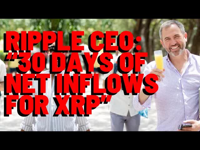 Ripple CEO: "30 DAYS OF NET INFLOWS FOR XRP SPOT ETFS" - Report