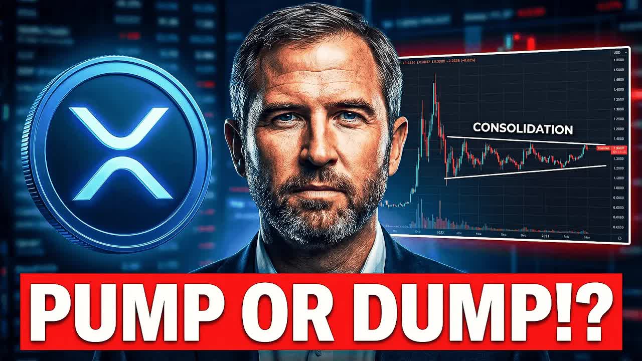 XRP PUMP OR DUMP MOMENT - CEO SAYS 2026 WILL BE HUGE FOR XRP - HOLD XRP OR WORK 30 YEARS PERSPECTIVE