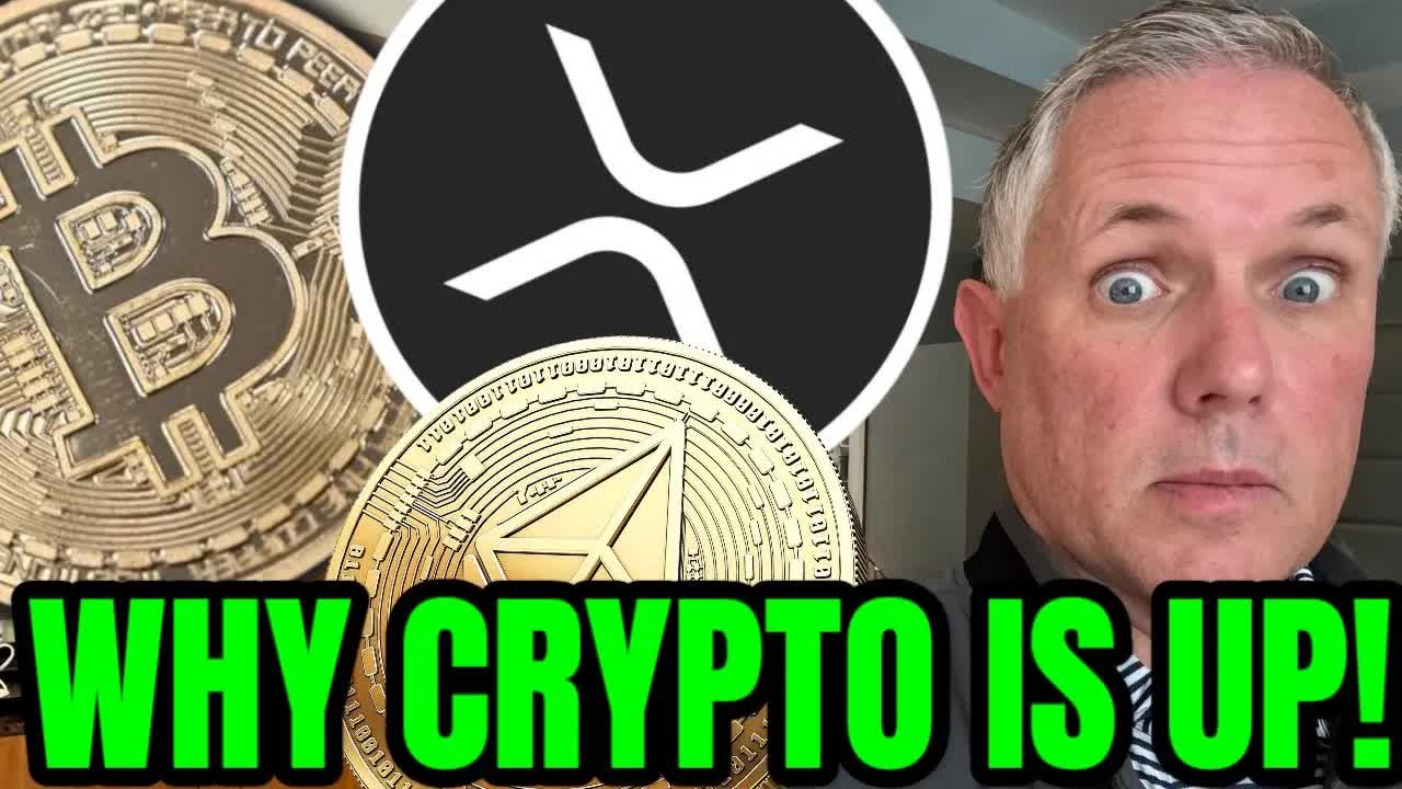 Why The Crypto Market Is Up Today! Latest Crypto News!