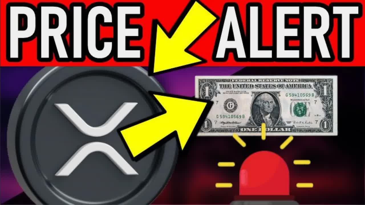 XRP CRASH ALERT BUYING OPPS FOR MONTHS