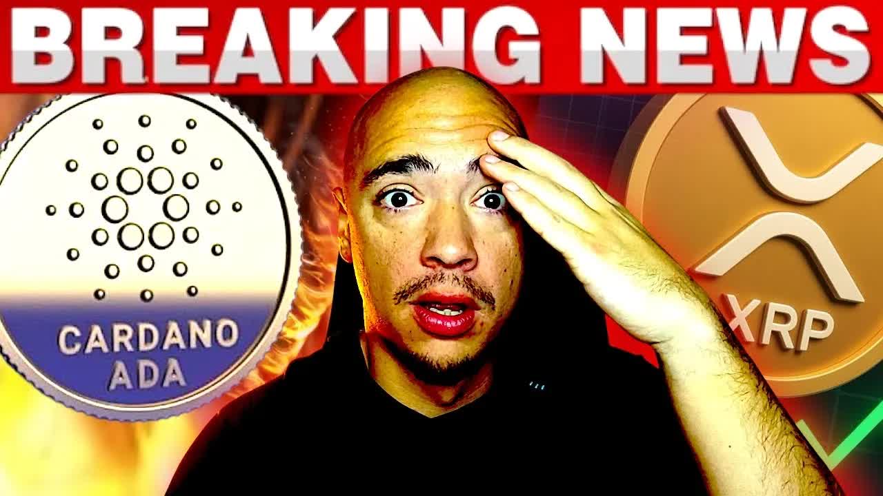 Which Crypto Should You Choose XRP, Cardano, or Midnight?