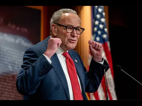 Schumer Won't Be Senate Minority Leader Much Longer Says Opinion Contributor Mukunda