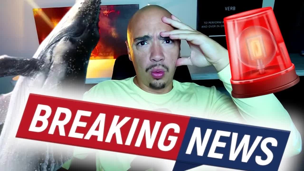 HUGE ALTCOIN BUYS HAPPENING RIGHT NOW FROM BIG INVESTORS! - Article cover image